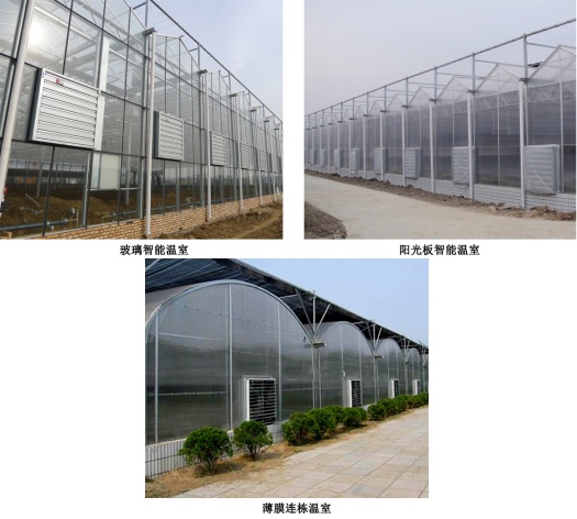 玻璃智能溫室、陽光板智能溫室、薄膜連棟溫室