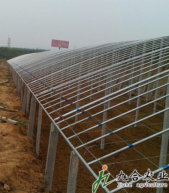 下挖式日光溫室大棚的建設(shè)標(biāo)準